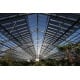 Plancher photovoltaïque plug and play. Carreau solaire piétinable 500x500x8mm coloré